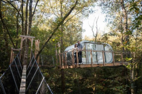 Cabane Le Module